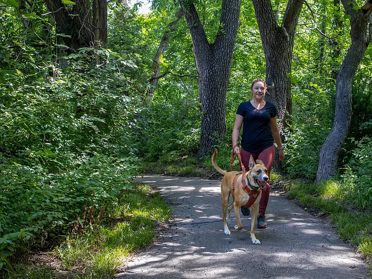 Take a peaceful stroll through the scenic pathways of Lenox West, surrounded by nature's beauty.