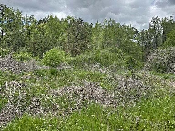 2nd image of 8 Acres Hwy #22