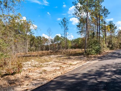 0 Spring Hill School Rd, Collins, MS, 39428