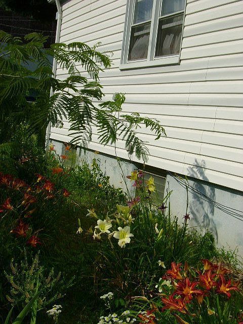 Corner Lot