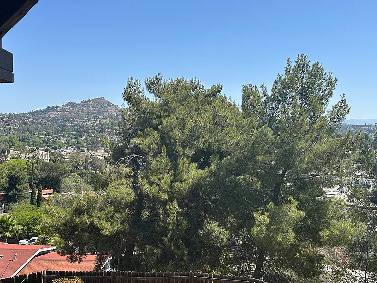 3567 Hartzel Dr — Photo 15