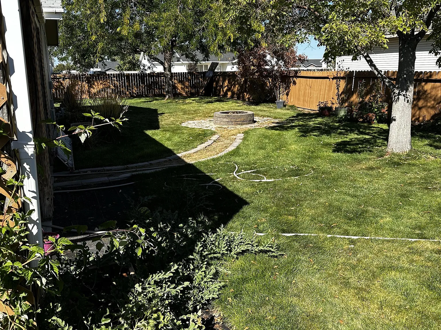 Erin - 1 — Photo 3