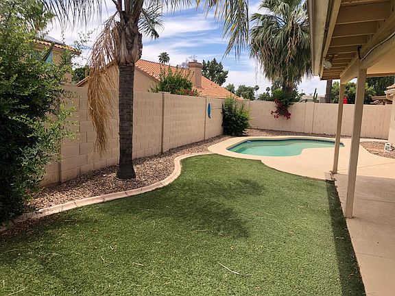Back yard - low maintenance turf and pool with weekly pool service