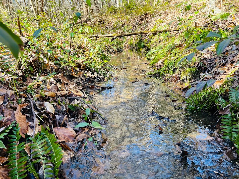 Creek