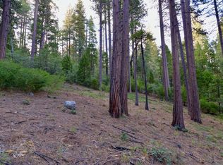 2904 Venado Dr #183, Arnold, CA
