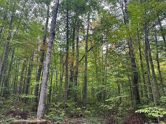 3rd image of LOT 5 Blue Sky Ln