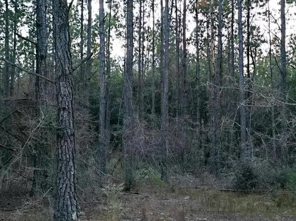 0 Gopher Ridge Rd, Samson, AL 36477