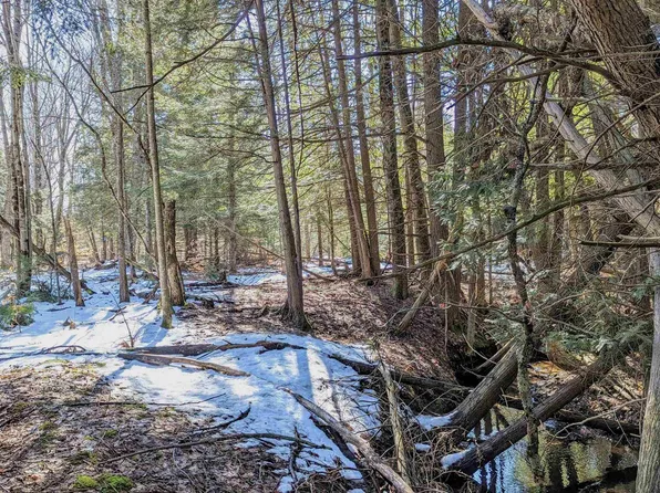 120 & 121 Old Grade Rd, Thompsonville, MI 49683