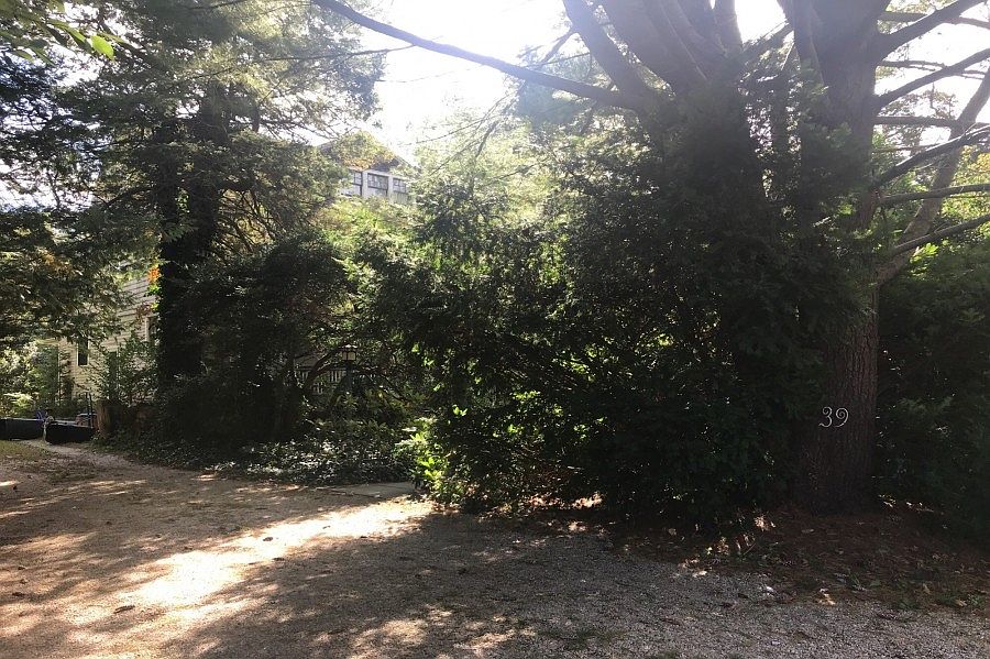 1st image of 39 S Snedecor Ave