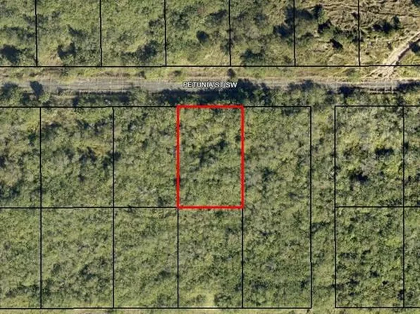 1574 PETUNIA STREET SW LOT 4, PALM BAY, FL 32908