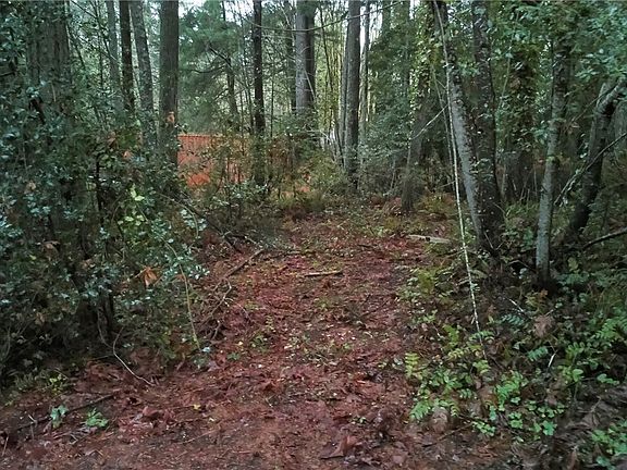 Looking into property from easement road.  Red shed in back round is not part of property.  