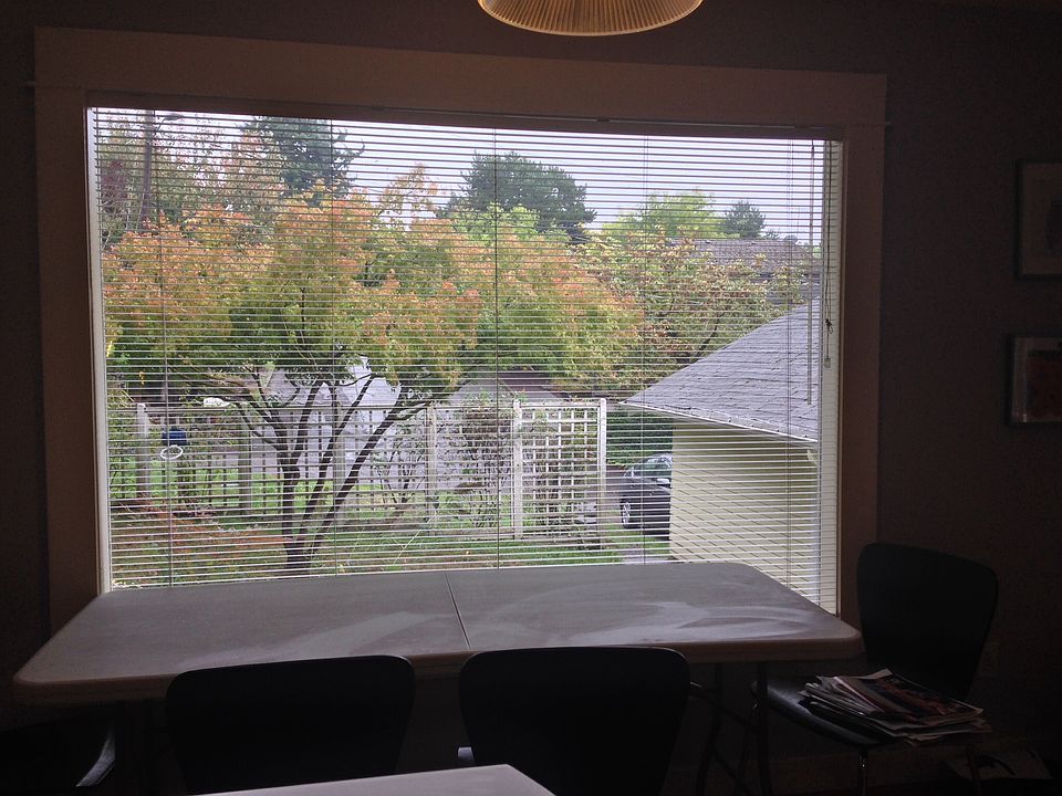 View from kitchen of yard