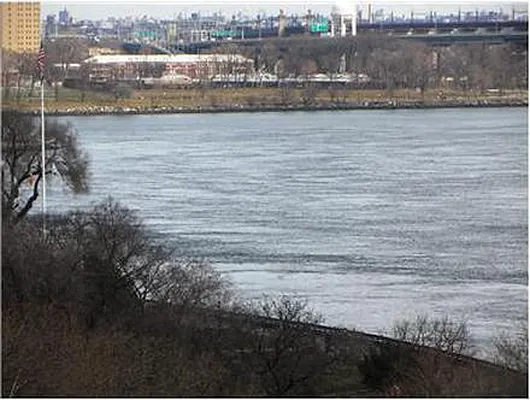 Rented by Douglas Elliman | media 15