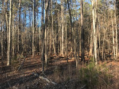 1404 Lucy Ln, Chapel Hill, NC, 27516