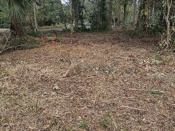3rd image of 1629 Caroline Dr
