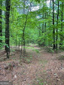 0 Mann Rd, Tyrone, GA, 30290