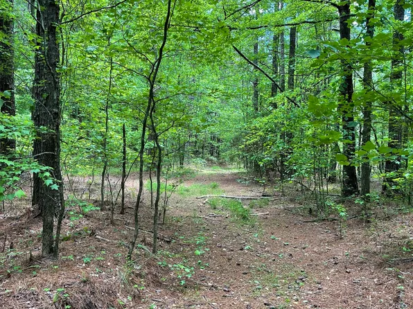 0 Mann Rd, Tyrone, GA 30290