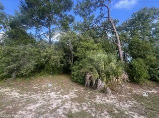 0 Tiburon Dr Spring, hill, FL 34608