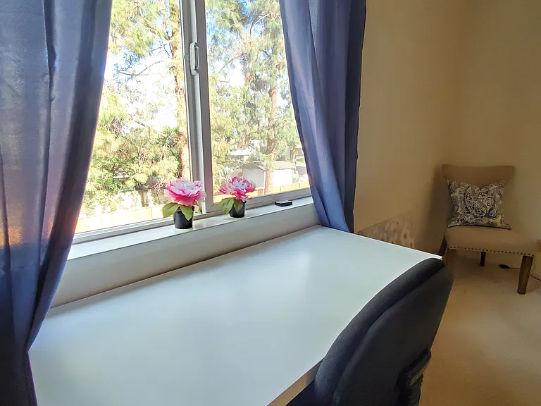 Desk with Tree views