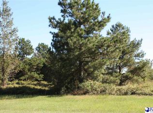 5715 Rooster Cir, Pinewood, SC 29125