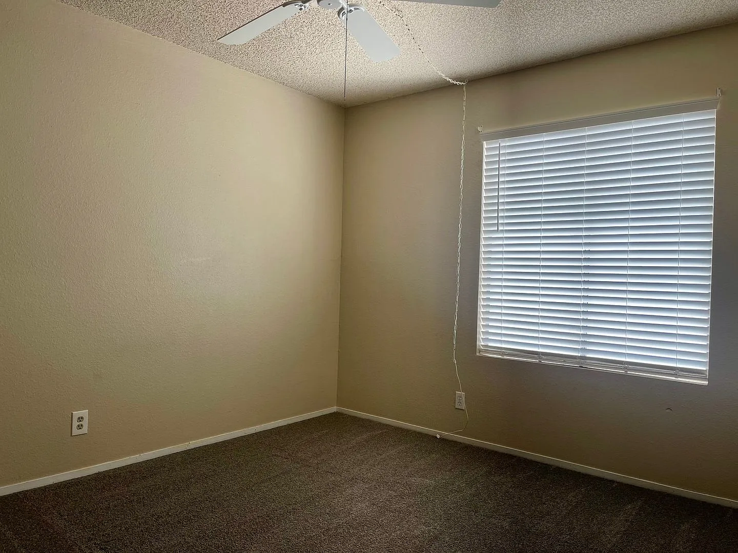Upper Unit — Photo 4