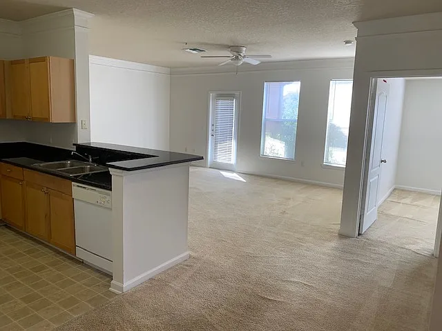 19935 Villa Isle Dr #306 — Photo 3