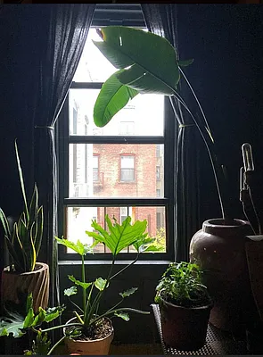 Rented by Candid Listings LLC | media 18