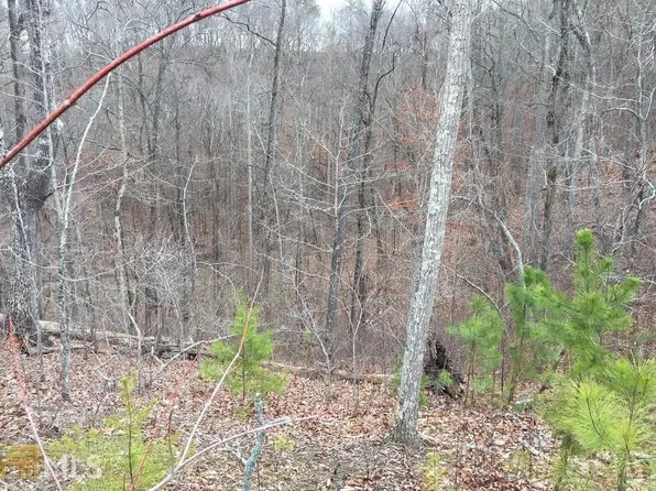 201 Hopewell Dr, Ranger, GA 30734