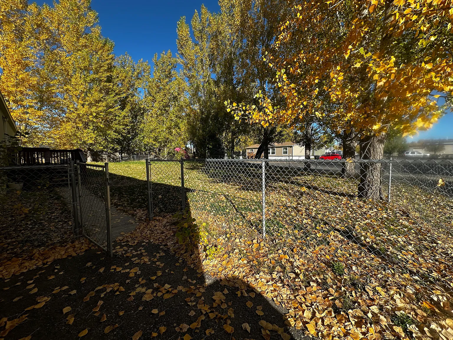 Cherry Creek — Photo 3