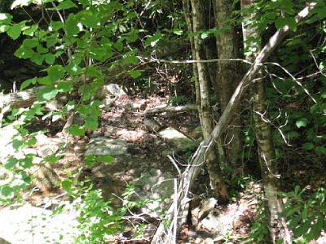 1st image of 122 Woodland Rd