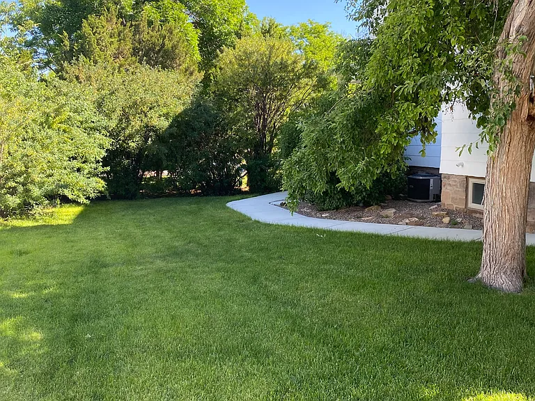 Side yard.