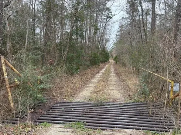 Palmer Rd, Daisetta, TX 77533