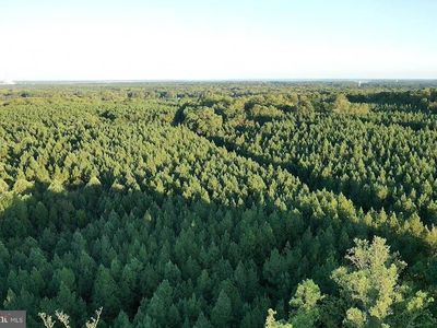 Mathias Point Rd, King George, VA, 22485
