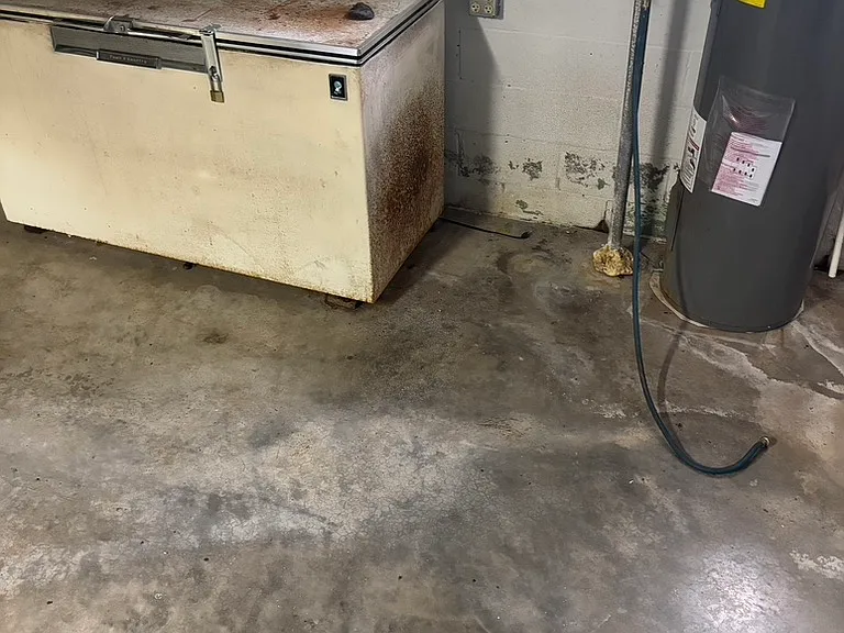freezer in basement