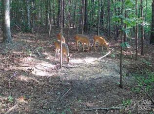 Pinnacle Church Rd, Nebo, NC 28761