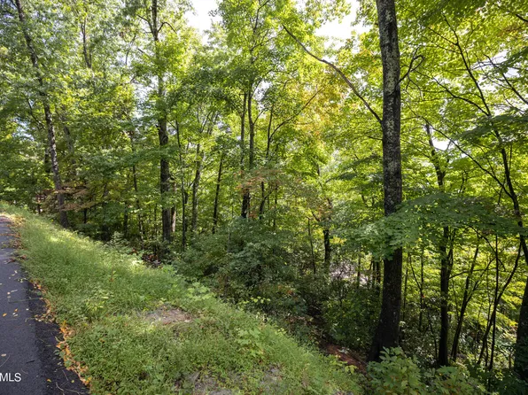 Luzerne Dr, Gatlinburg, TN 37738