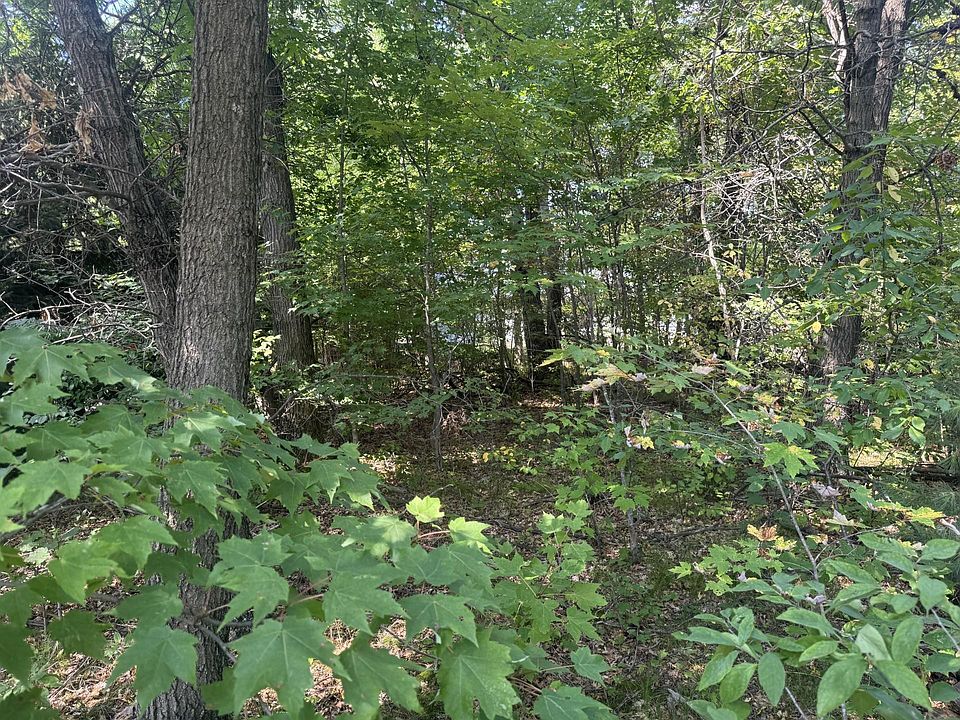 1st image of 250 White Oak Ln