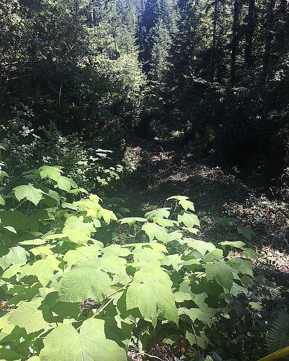 2nd image of Lots 1303 1400 Grand Ave