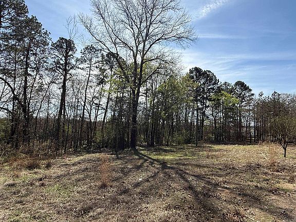 3rd image of Old Bear Rd