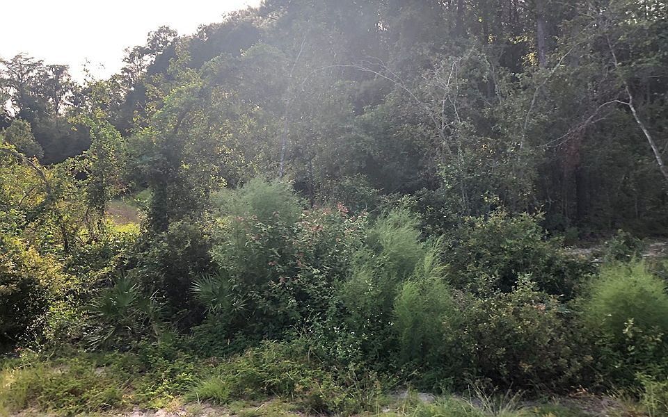 2nd image of Metes And Bounds