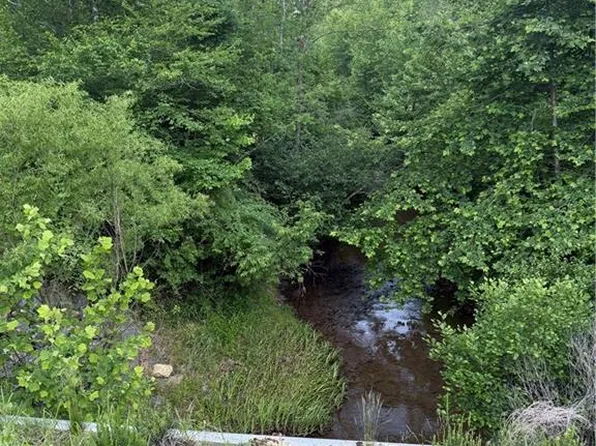 0 Puckett Rd, Westfield, NC 27053