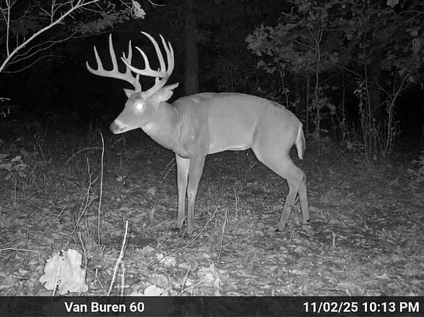 0 Aldrich Valley Rd, Van Buren, MO 63965