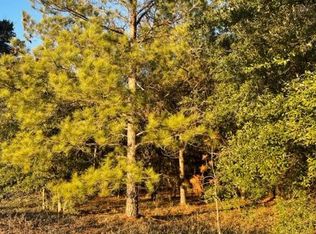 Sparkman Dr, Manning, SC 29102