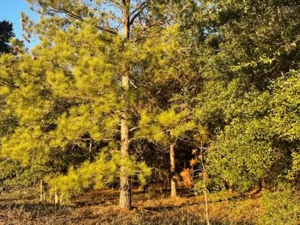 Sparkman Dr, Manning, SC 29102