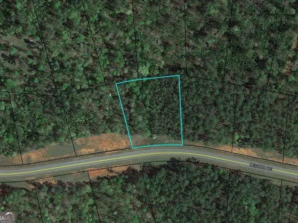 120 Heights Ave, Forsyth, GA 31029