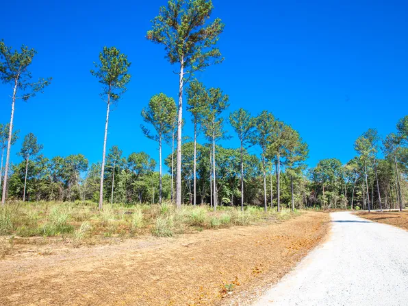 510 Rabbit Pen Drive, Appling, GA 30802