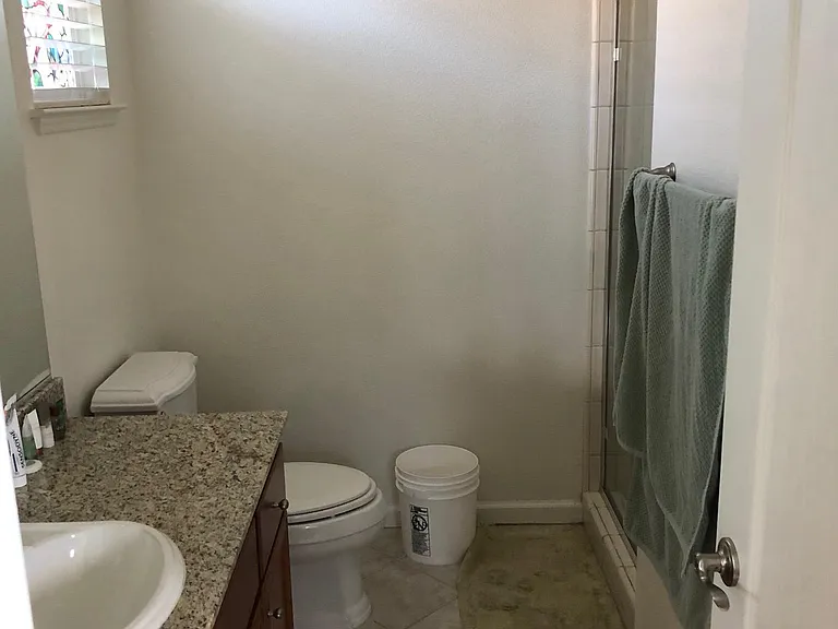 Guest bathroom upstairs (stand in shower)