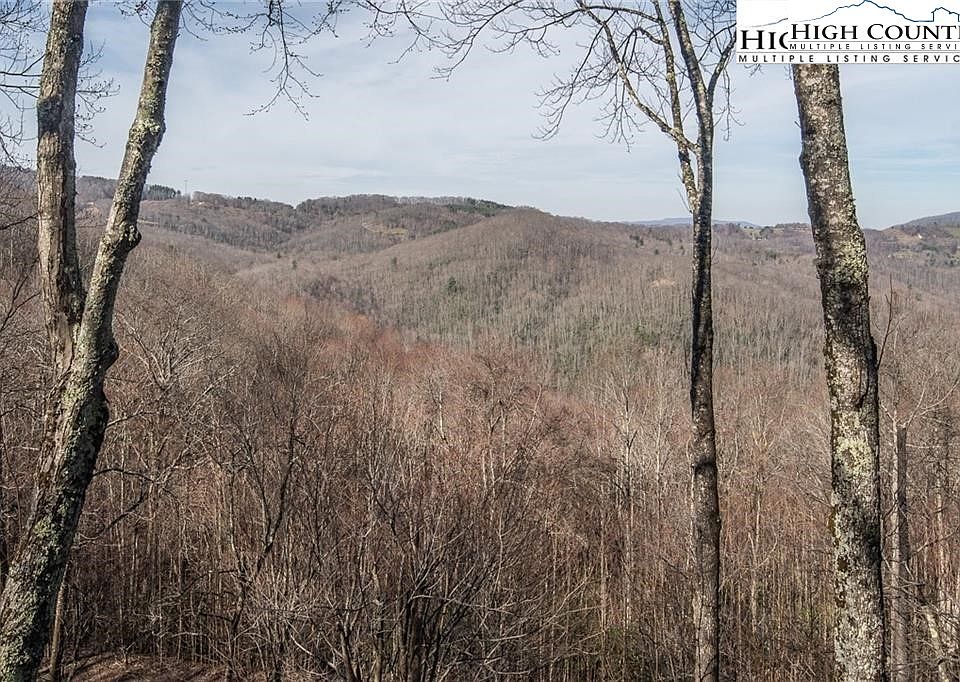 2nd image of 103 Bear Paw Path