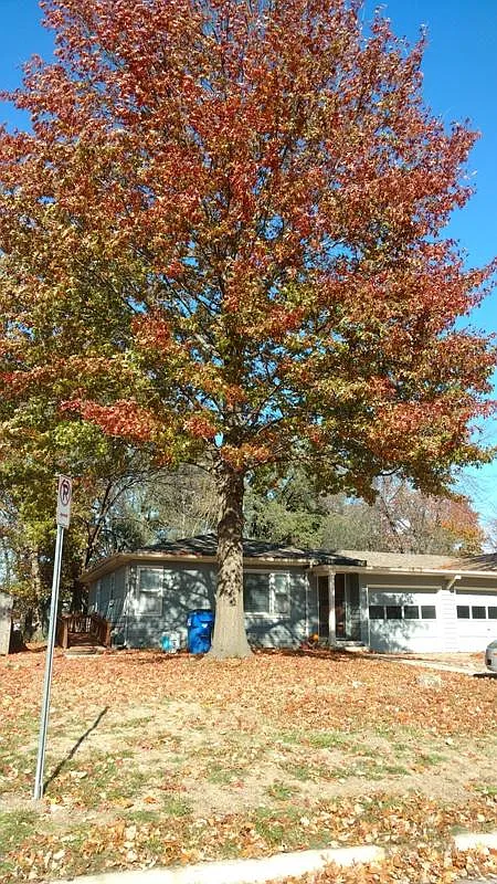 5 bed, 2000 sqft, $2,925 — Photo 2