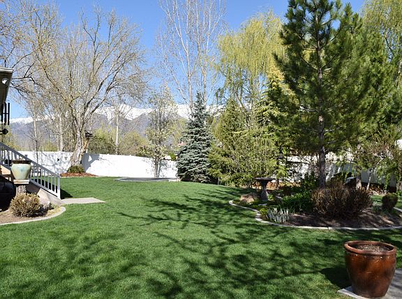 Backyard- Mountain View